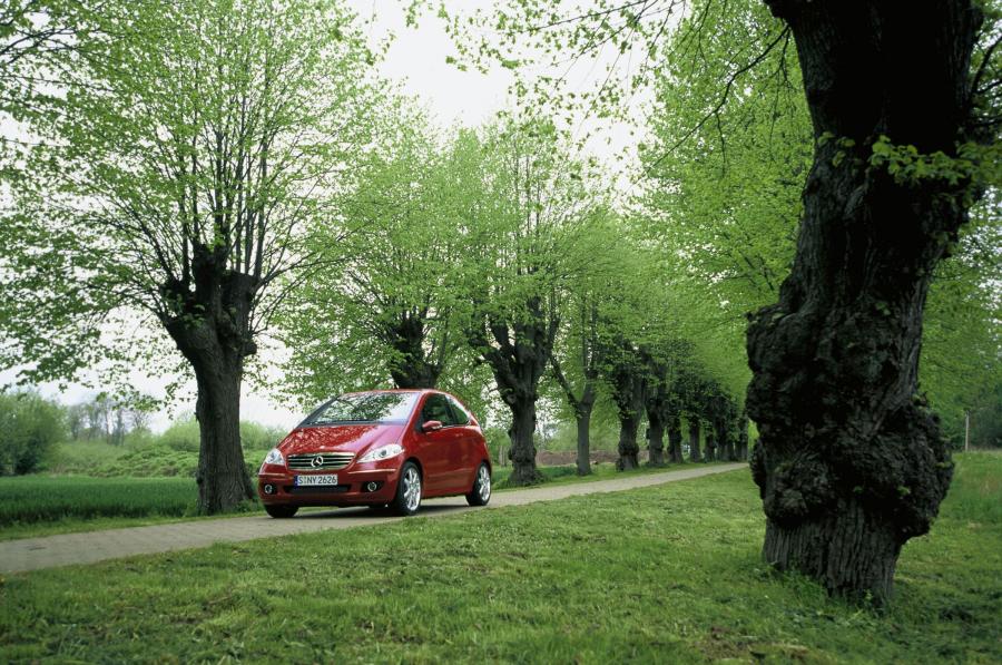  Mercedes-Benz A-Class 3-Door 2004 года  (фото 56 из 138)